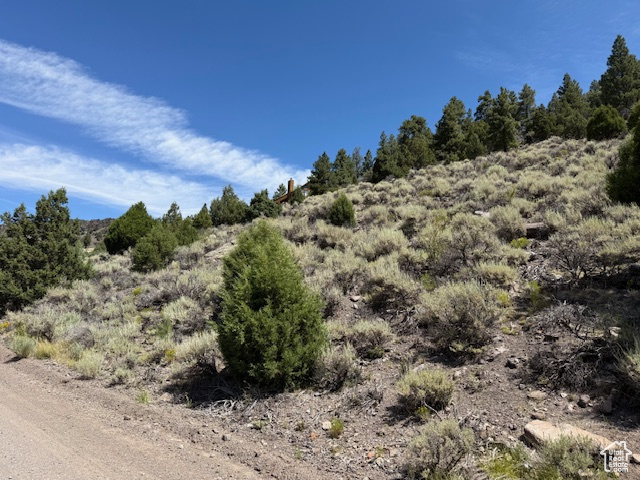 BEAVER DAM ESTATES - Land