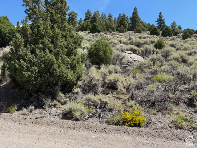 BEAVER DAM ESTATES - Land