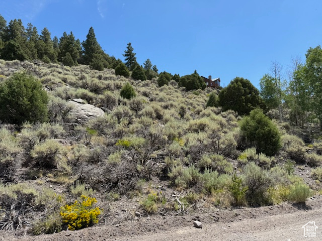 BEAVER DAM ESTATES - Land