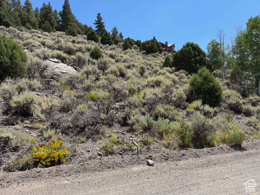 This incredible 1.29-acre property (2 lots side by side) offers year-round access and is ready for your dream cabin or getaway! Located in the desirable Beaver Dam Estates, the lot features water stubbed to each parcel, power and phone available at the street, and beautiful views of Panguitch Lake, Ipson Creek, the meadow, and the surrounding mountains. The land includes a mix of trees and gentle slope-ideal for a walk-out basement-and stretches from road to road, offering flexible building options for both a garage and cabin. Panguitch Lake is within walking distance, perfect for shore fishing, and the area boasts CCRs to help maintain property values and community standards.