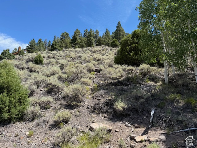 BEAVER DAM ESTATES - Land