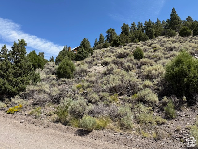 BEAVER DAM ESTATES - Land