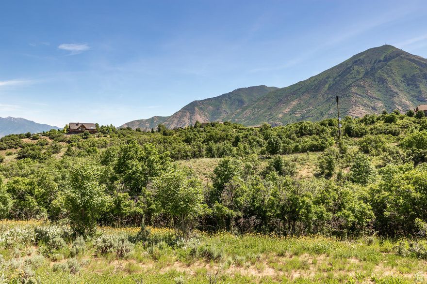 This rare .83-acre lot in Summit Creek offers a flat build site for cost efficiency. In a mature area with minimal construction, it provides privacy, tall trees, and stunning views of Broad Hollow & Utah Valley. Just 15 mins from Costco & Target-$360K.