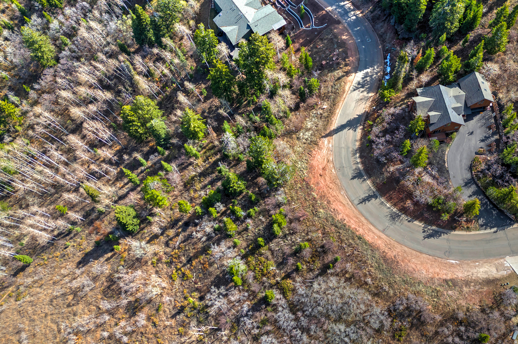 PINERIDGE SUBDIVISION - Land