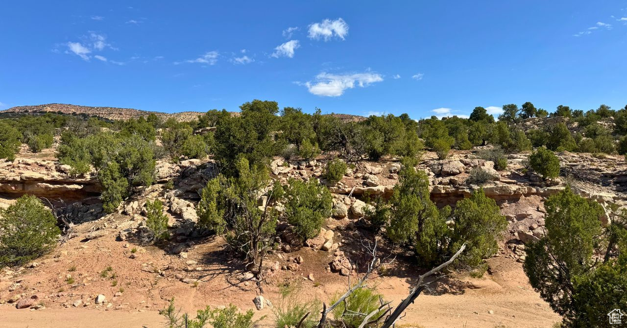 COYOTE HILLS NORTH - Land