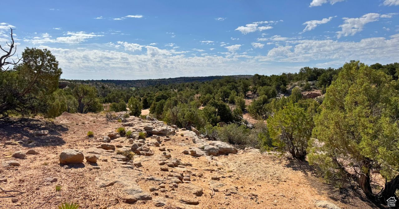 COYOTE HILLS NORTH - Land