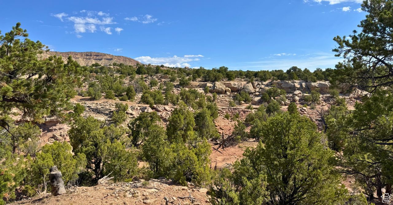 COYOTE HILLS NORTH - Land