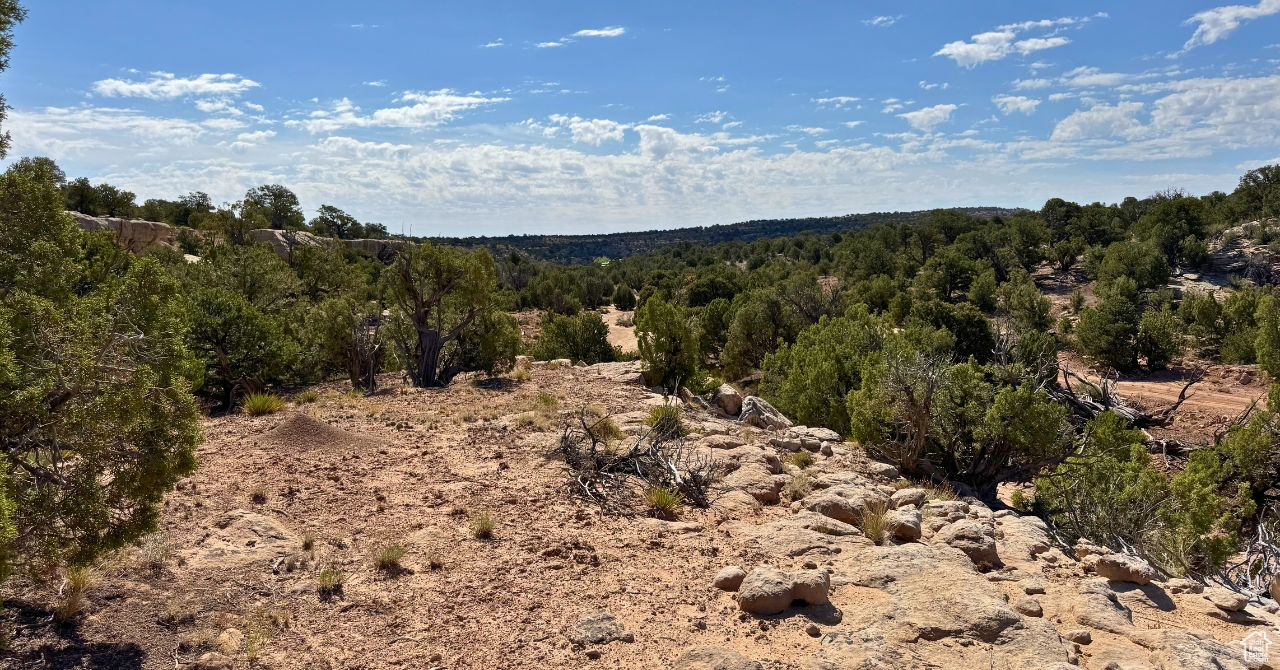 COYOTE HILLS NORTH - Land