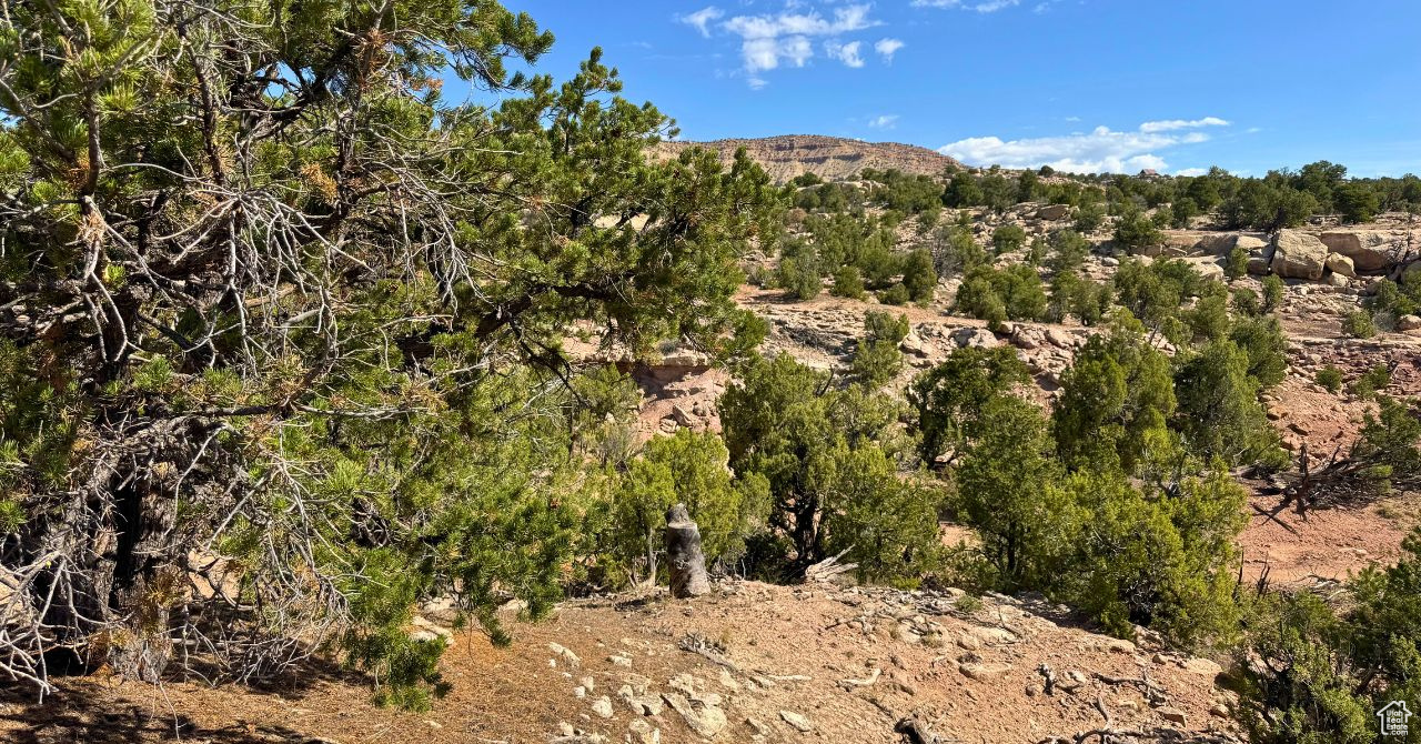 COYOTE HILLS NORTH - Land