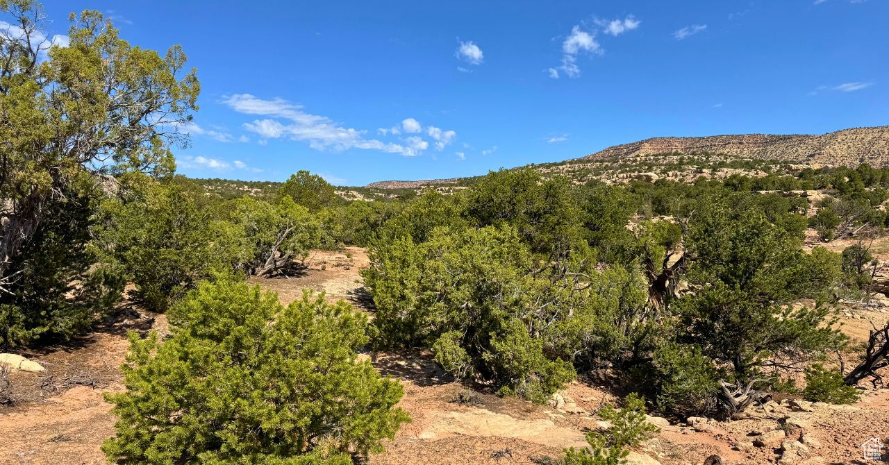 COYOTE HILLS NORTH - Land