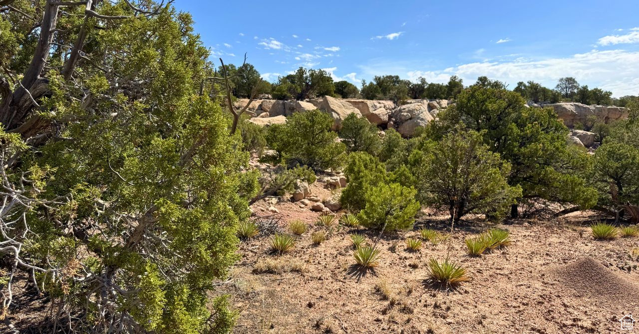 COYOTE HILLS NORTH - Land