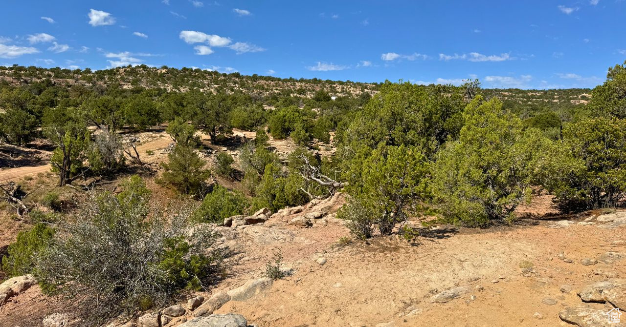 COYOTE HILLS NORTH - Land