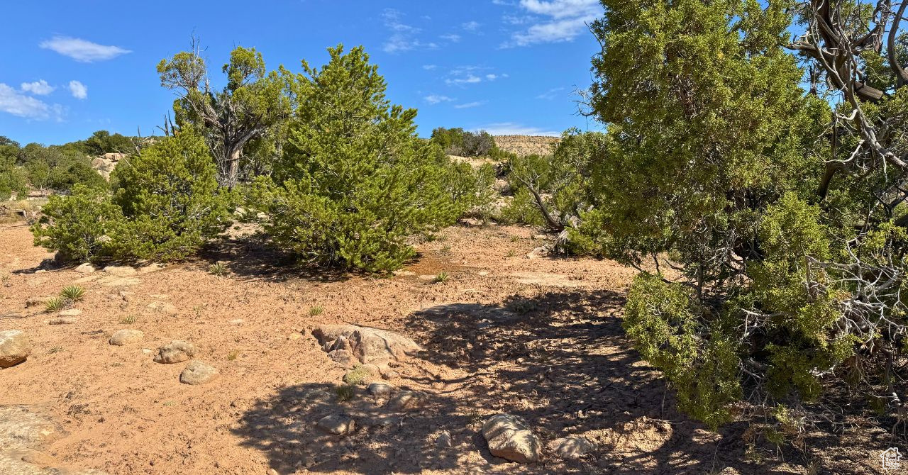 COYOTE HILLS NORTH - Land