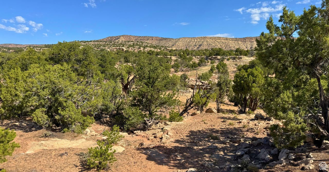 COYOTE HILLS NORTH - Land