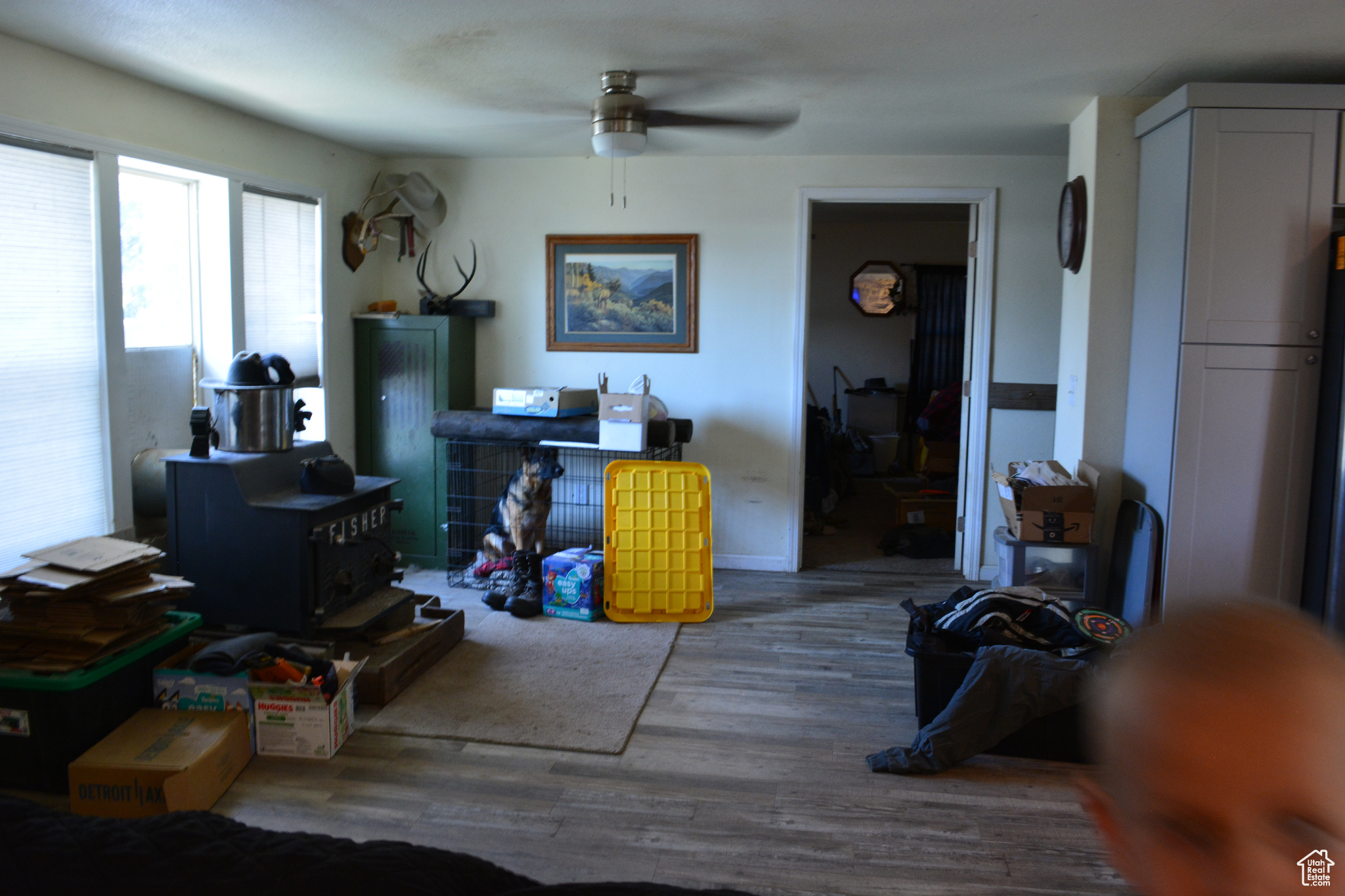 FINLAYSON #1 - Residential