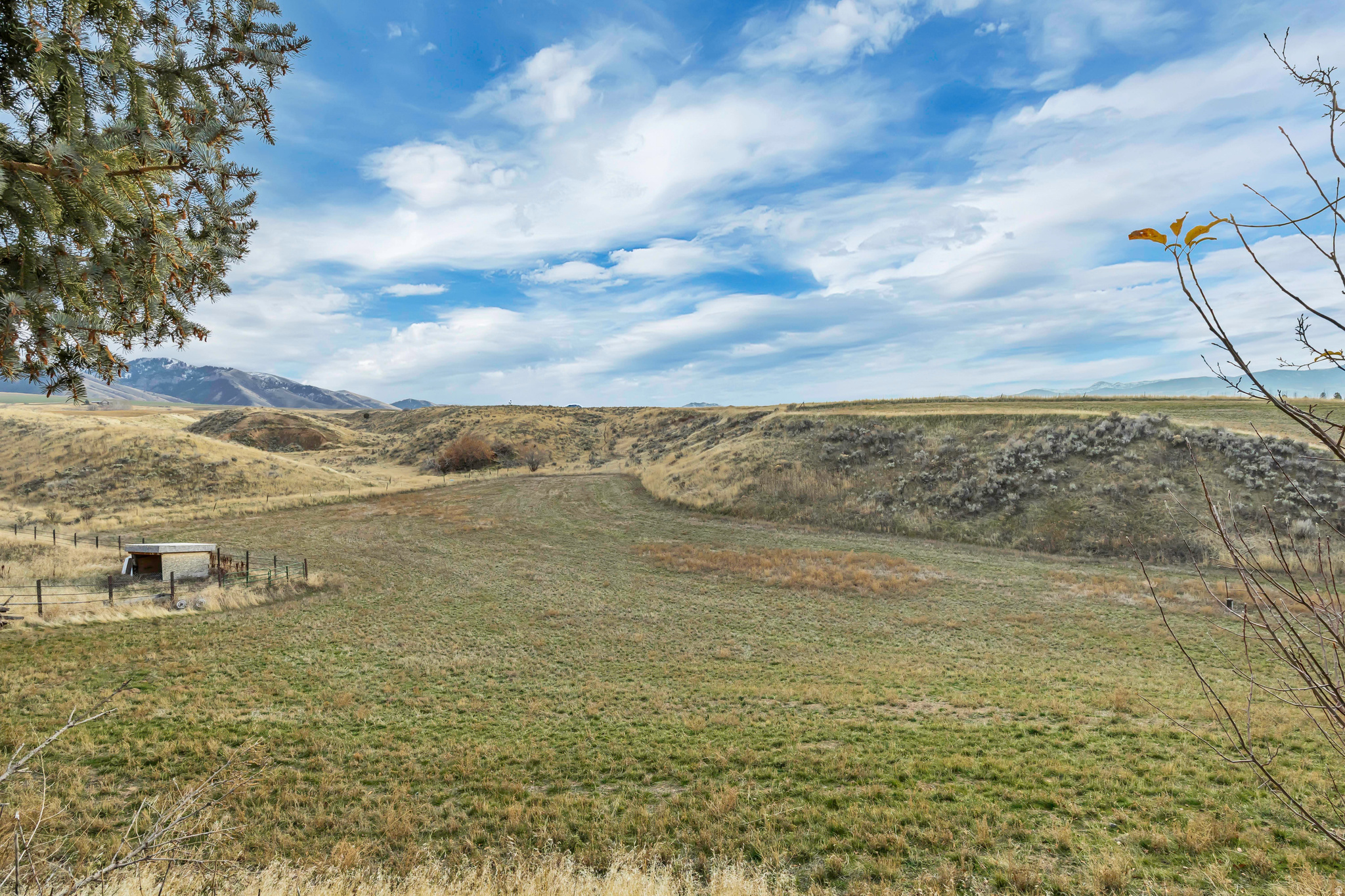 WAYNE JEWKES - Residential