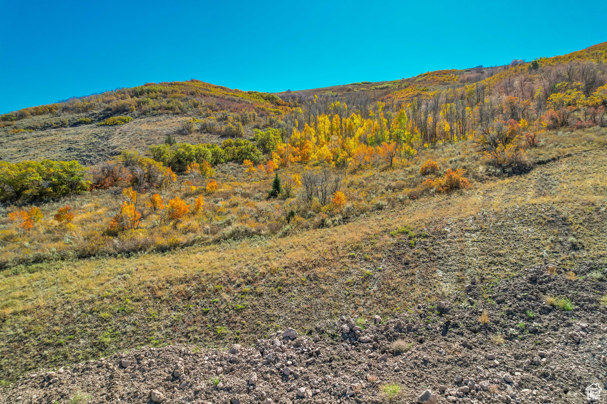 BENLOCH RANCH SUBDIVISION - Land