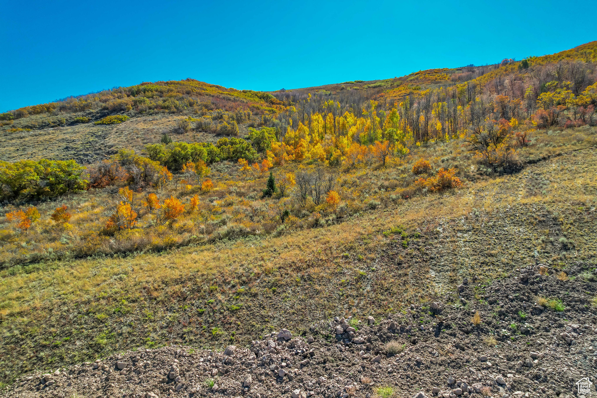 BENLOCH RANCH SUBDIVISION - Land