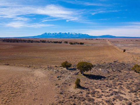 Tiny photo for Monticello, UT 84535 (MLS # 2139242)