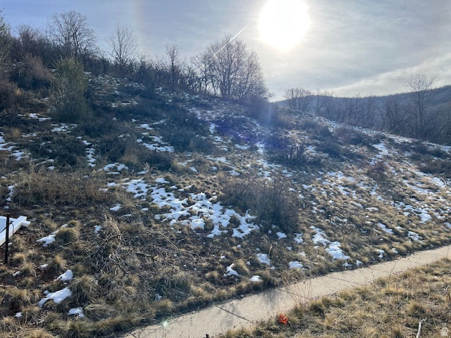 HIGHLAND OAKS SUB - Land