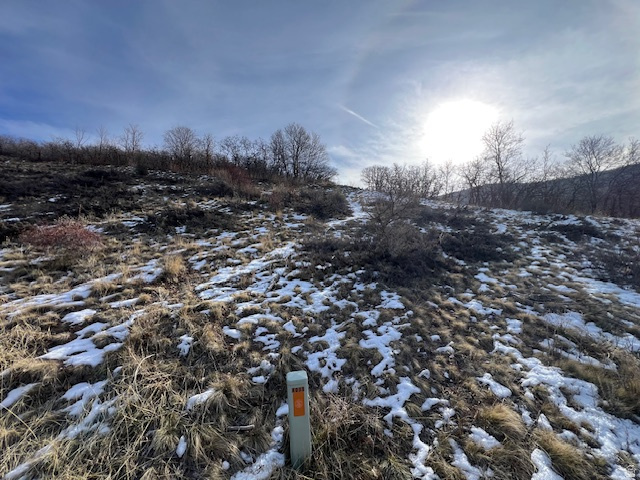 HIGHLAND OAKS SUB - Land