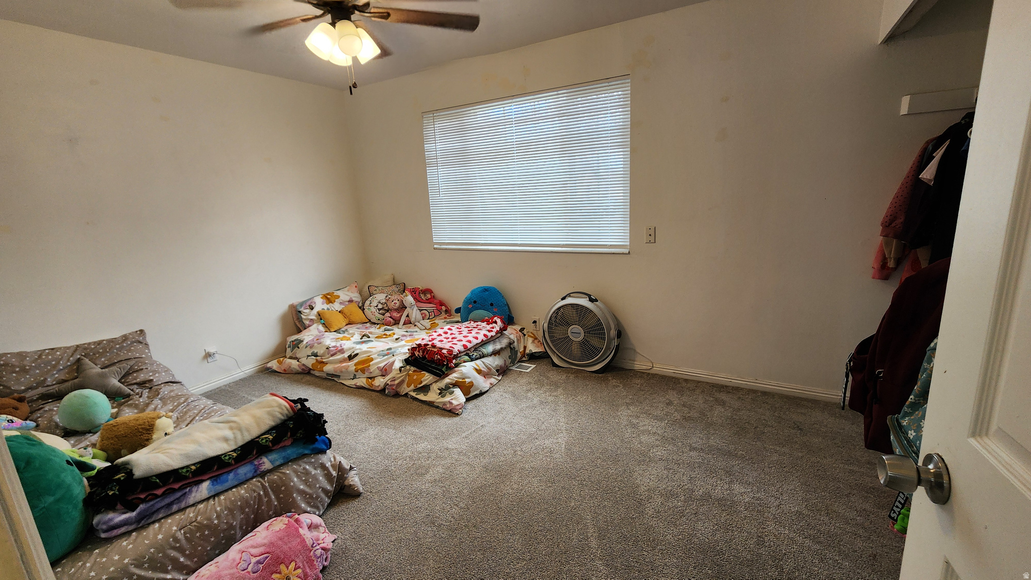 HECTOR VILLAGE - Residential