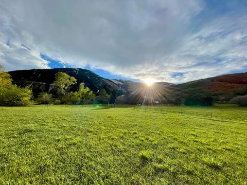 Tiny photo for 2807 OGDEN CANYON RD N, Liberty, UT 84310 (MLS # 2168717)