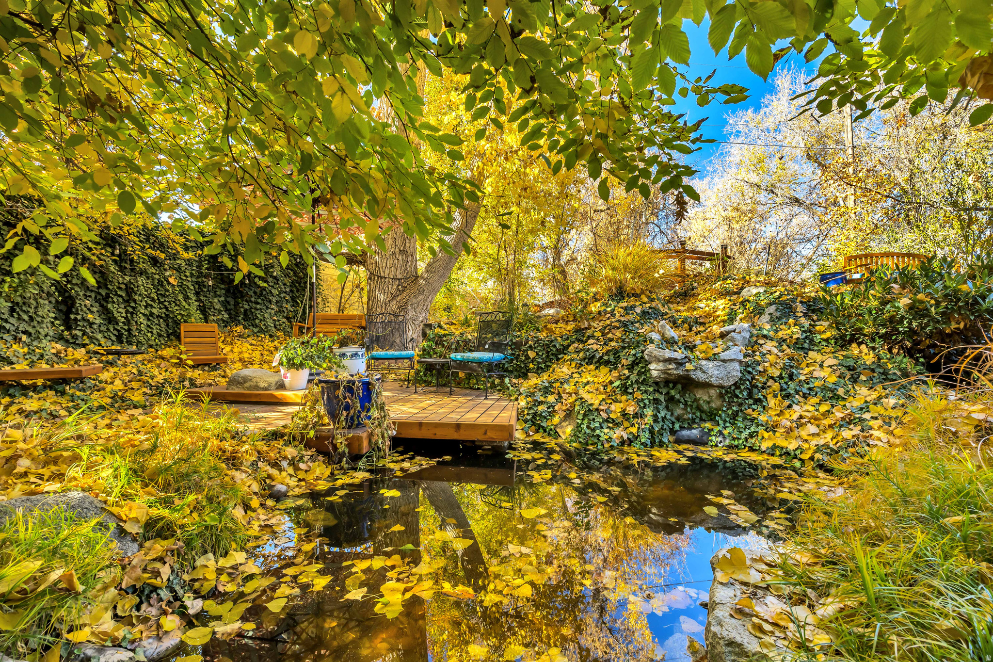 INTERNATIONAL GARDENS - Residential