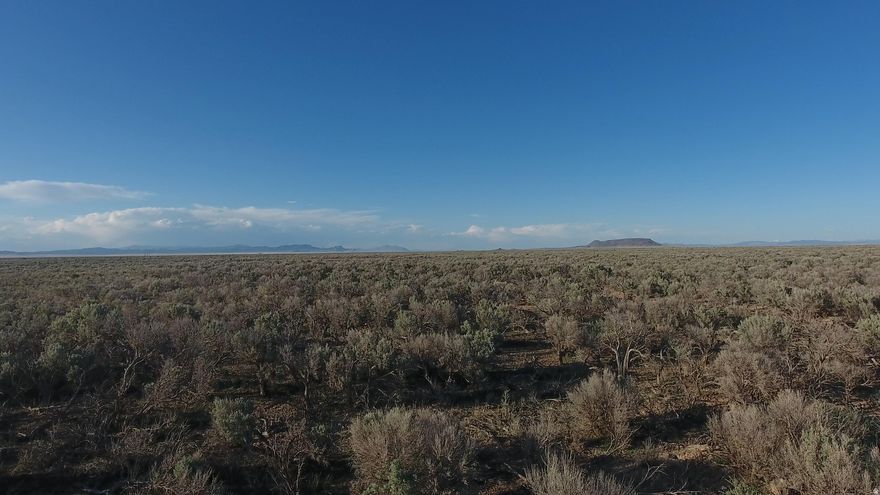 Agent Owner Seller Financing $40K Down 20 year Term Own Part of the West