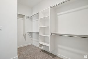 GREEN FARM FIELDS AT GREEN FARM HOA - Residential