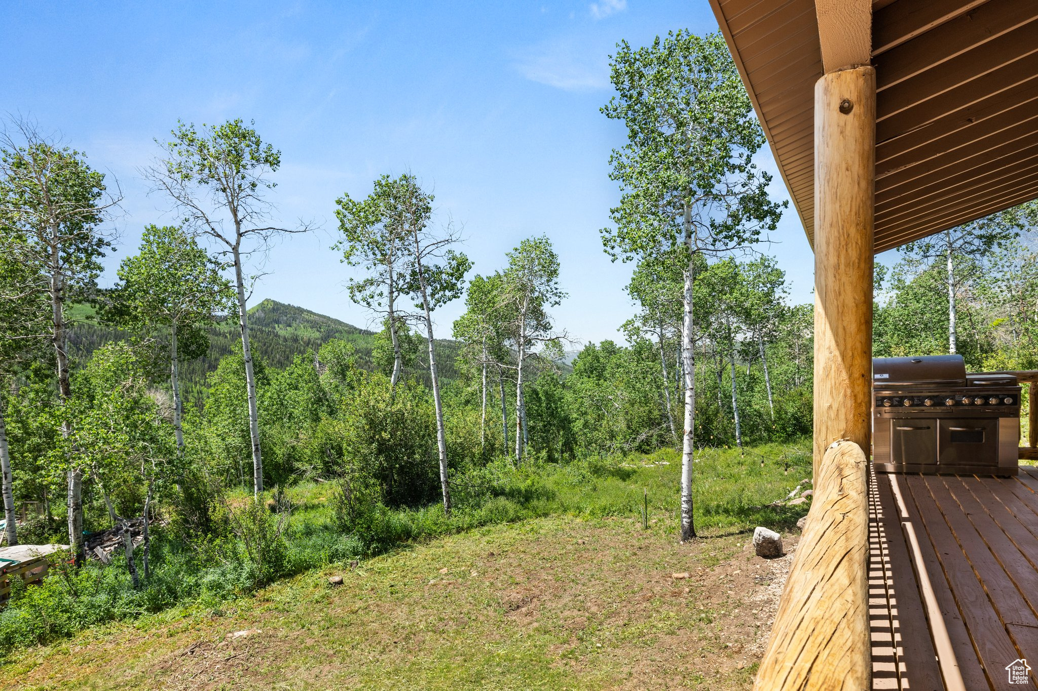 ASPEN MOUNTAIN SUBDIVISION - Residential
