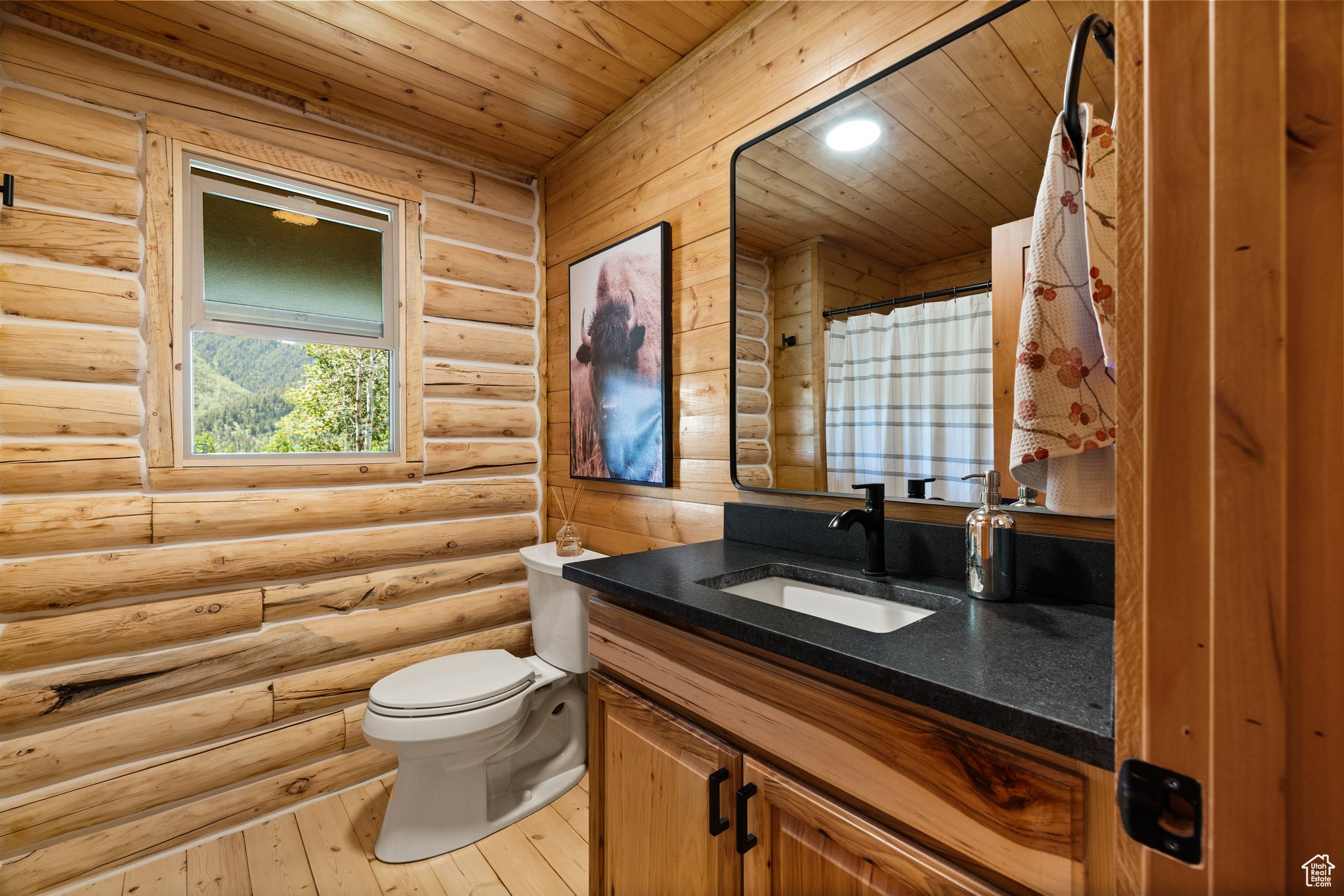 ASPEN MOUNTAIN SUBDIVISION - Residential