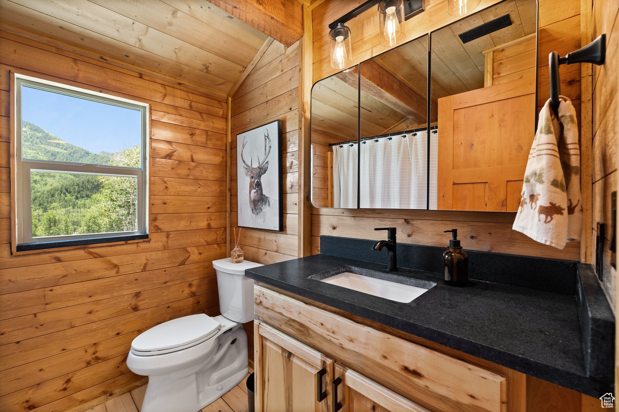 ASPEN MOUNTAIN SUBDIVISION - Residential