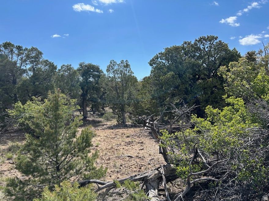 5 acres in Fruitland with owner financing. Located just off Hwy 40, with power nearby and good access. Property is private, and covered with thick pinion pines and juniper trees. This could be a cabin or home site. Owner financing terms: $15,000 down, $811 per month for 5 years at 8% interest.