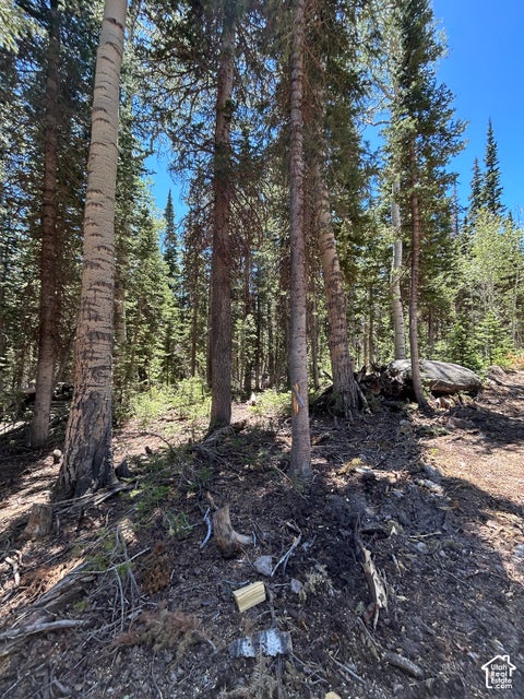 Vacant Land For Sale - 713 S Paintbrush St<br/> Iron County, Brian Head, UT 84719