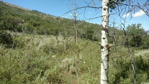 Tiny photo for 2390 S WESTVIEW DR #1350, Heber City, UT 84032 (MLS # 2151940)