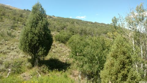 Tiny photo for 2390 S WESTVIEW DR #1350, Heber City, UT 84032 (MLS # 2151940)