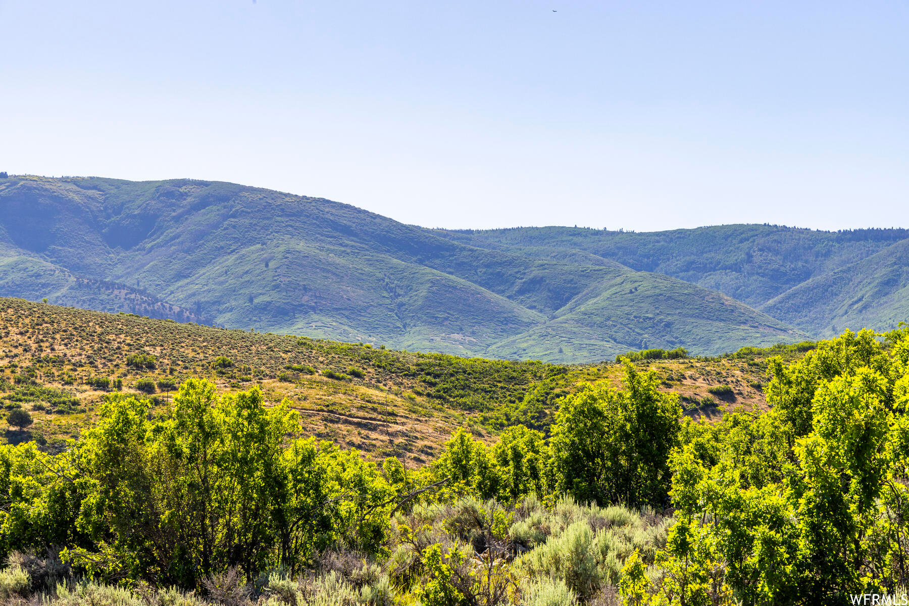 2120 Little Valley Rd, Wallsburg, Utah image 9