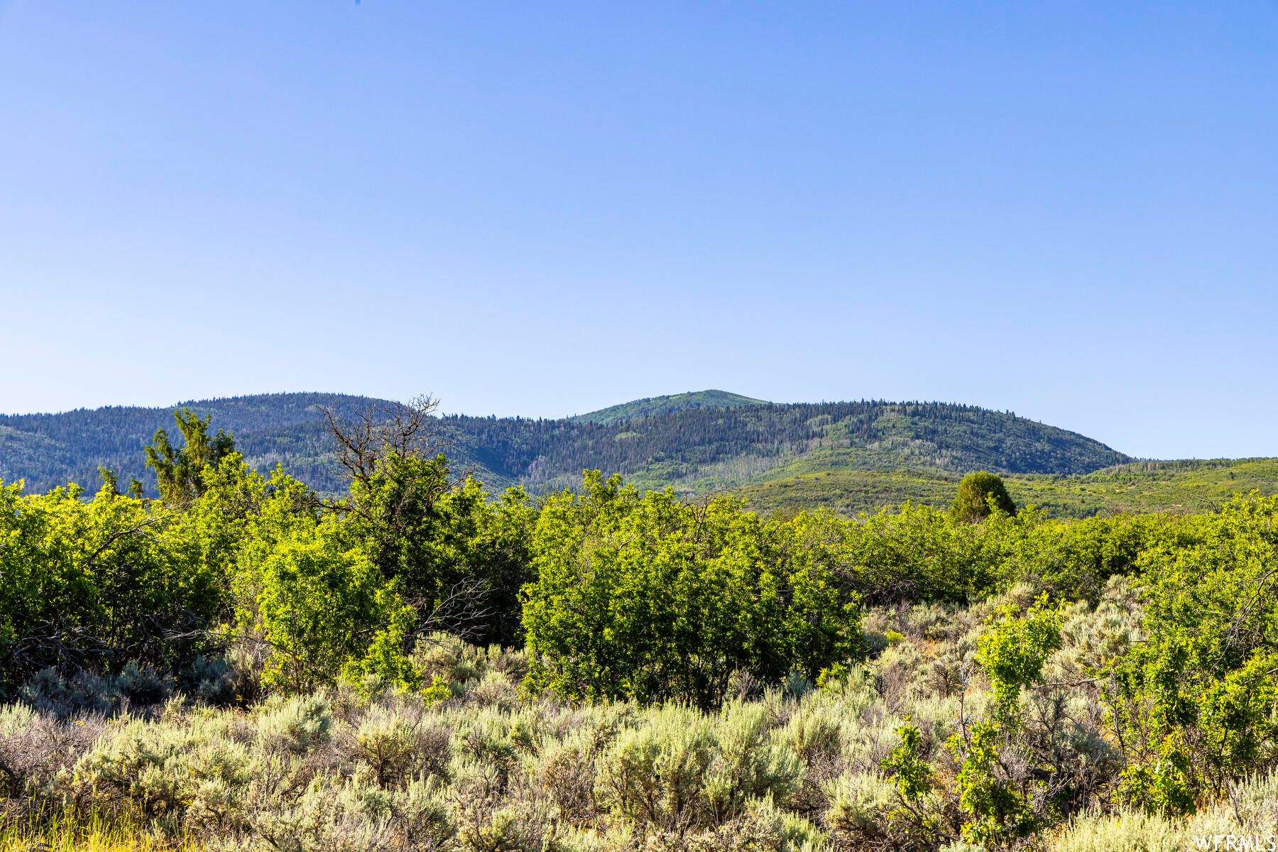 2120 Little Valley Rd, Wallsburg, Utah image 7