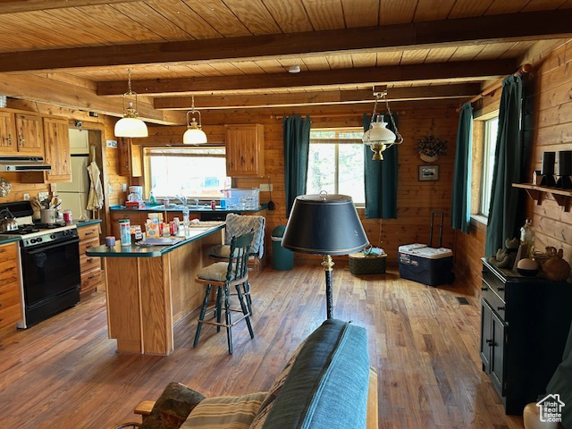37519 Strawberry Rd, Duchesne, Utah image 10
