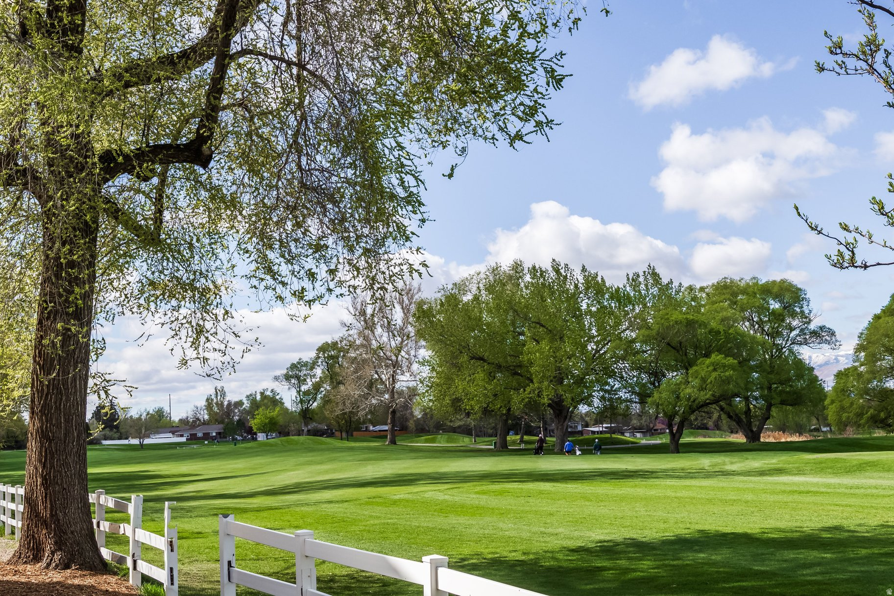WOOD HOLLOW - Residential