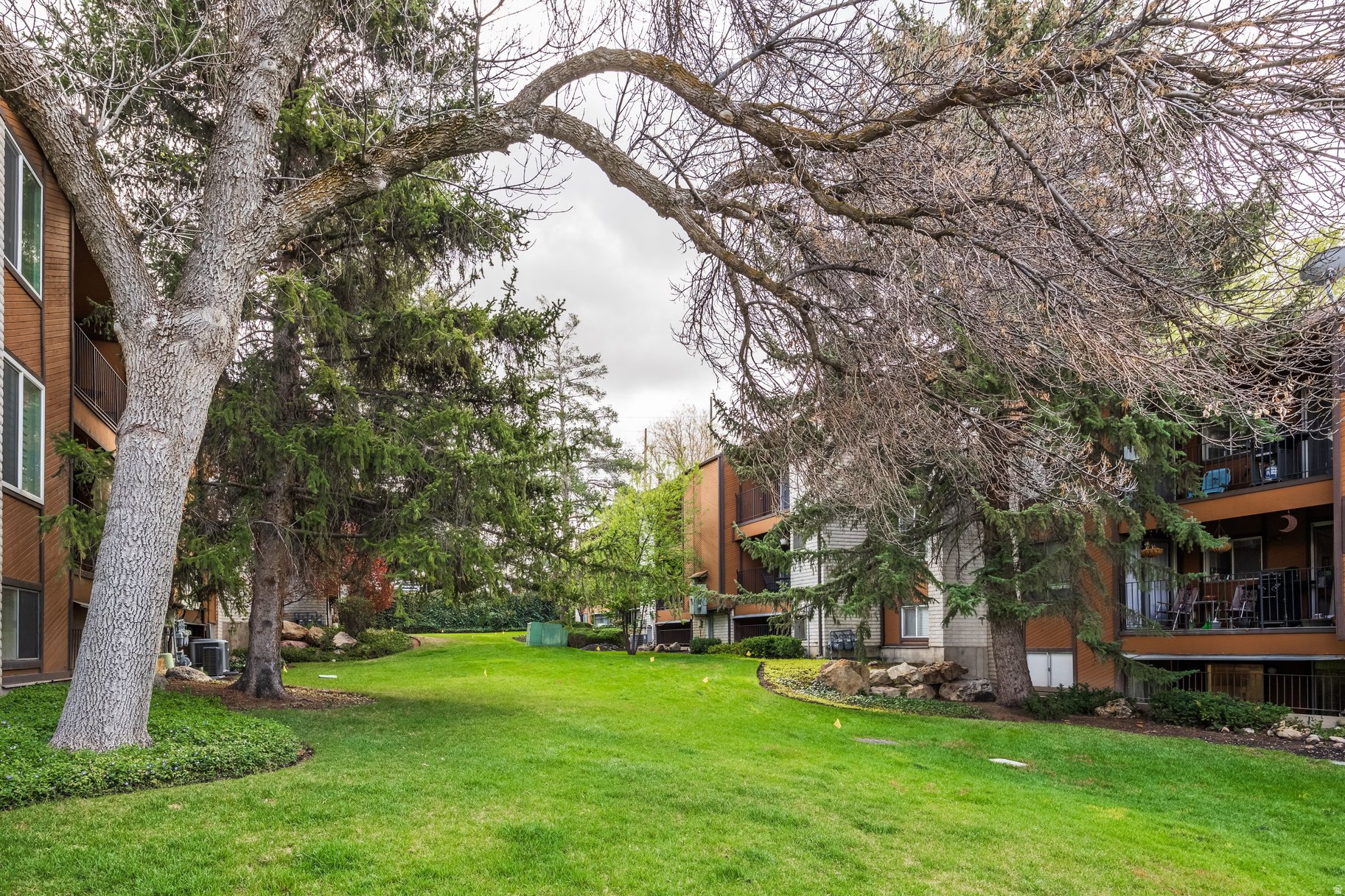 WOOD HOLLOW - Residential