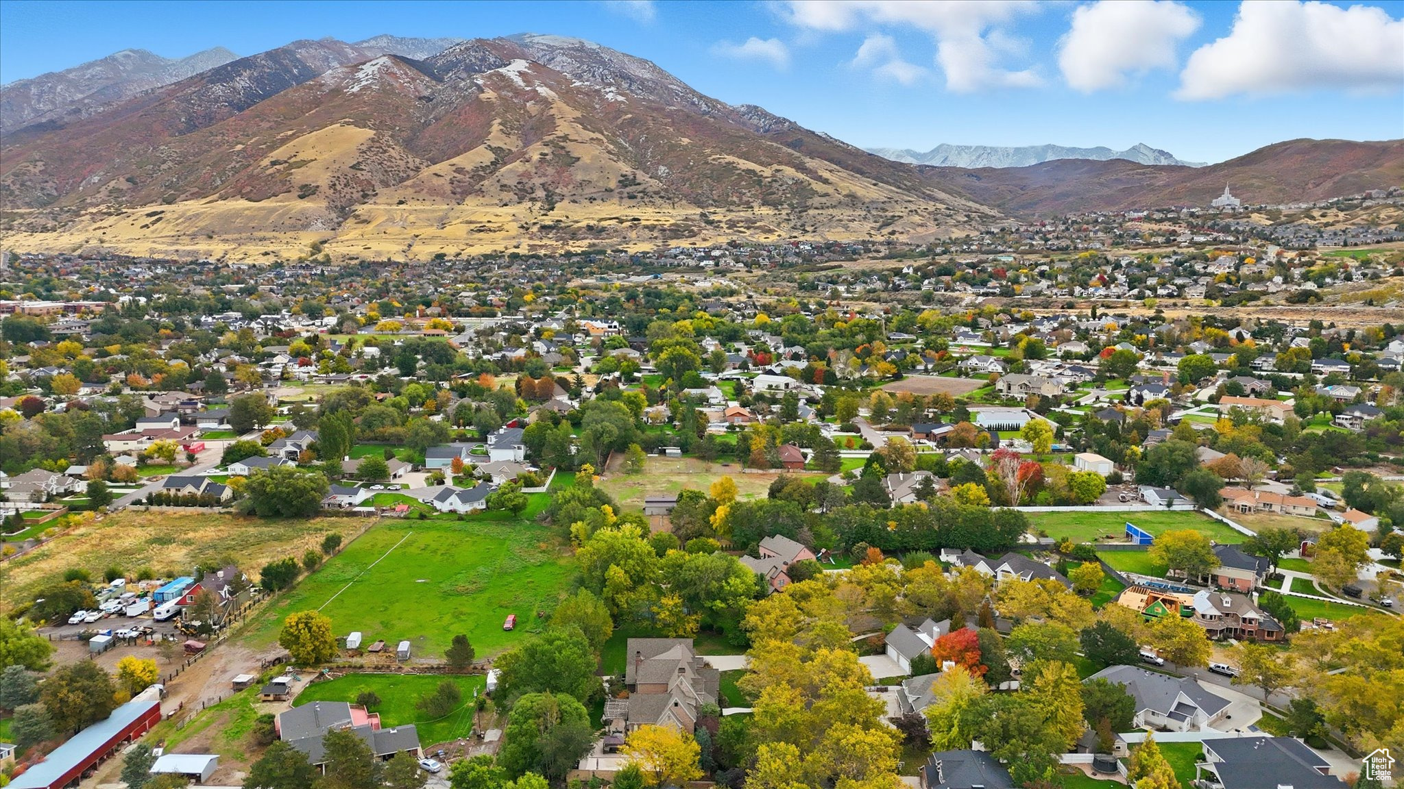 WILD ROSE - Residential