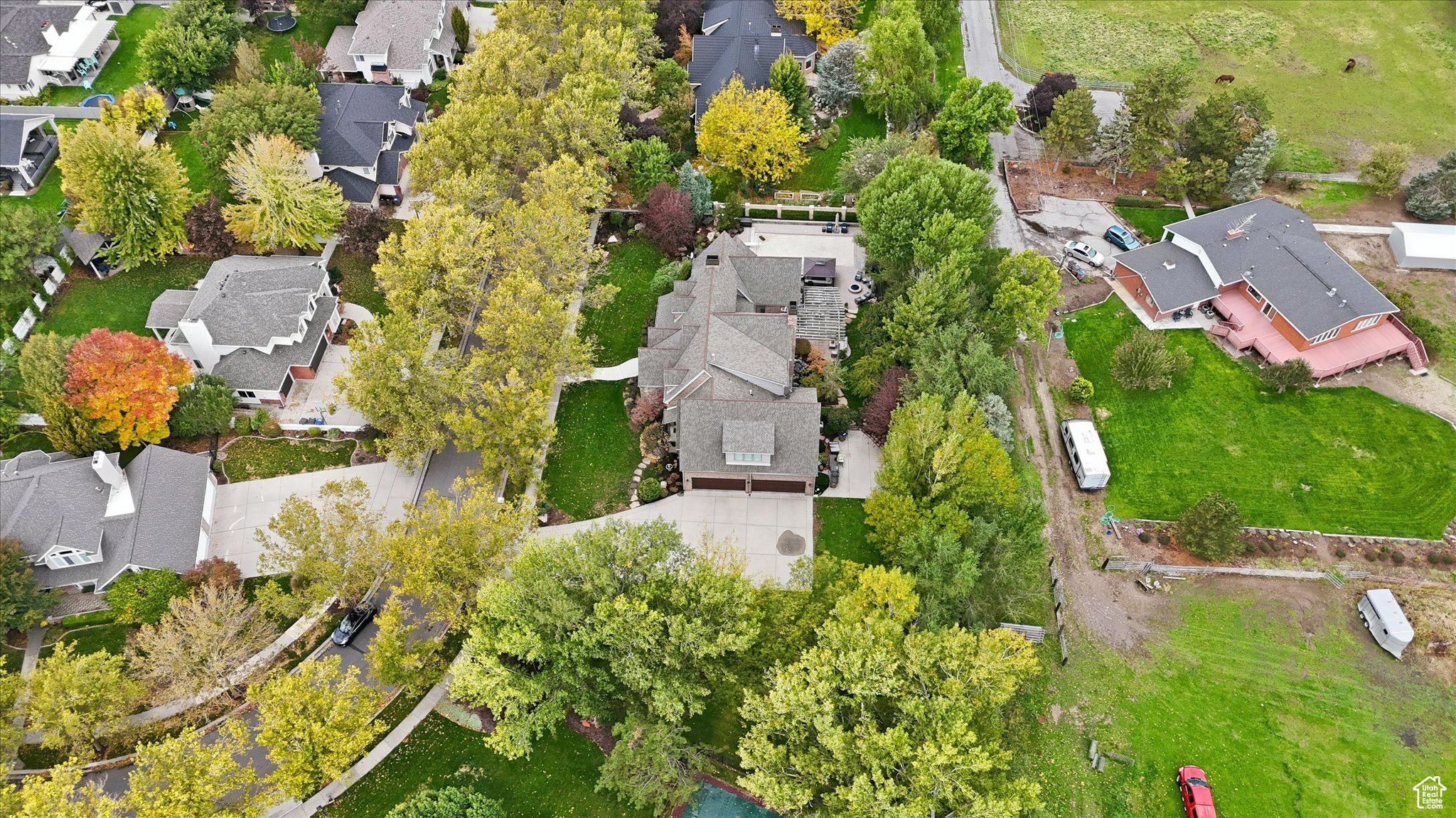 WILD ROSE - Residential