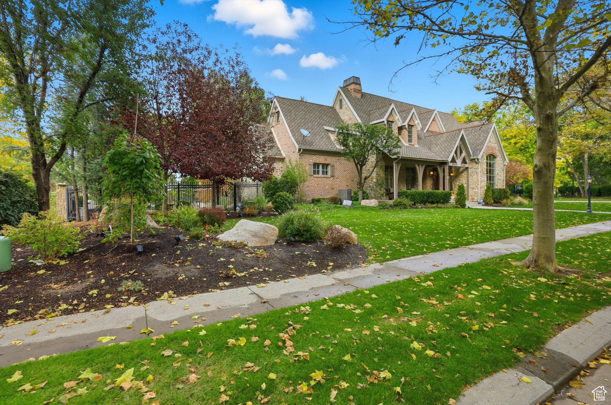 WILD ROSE - Residential