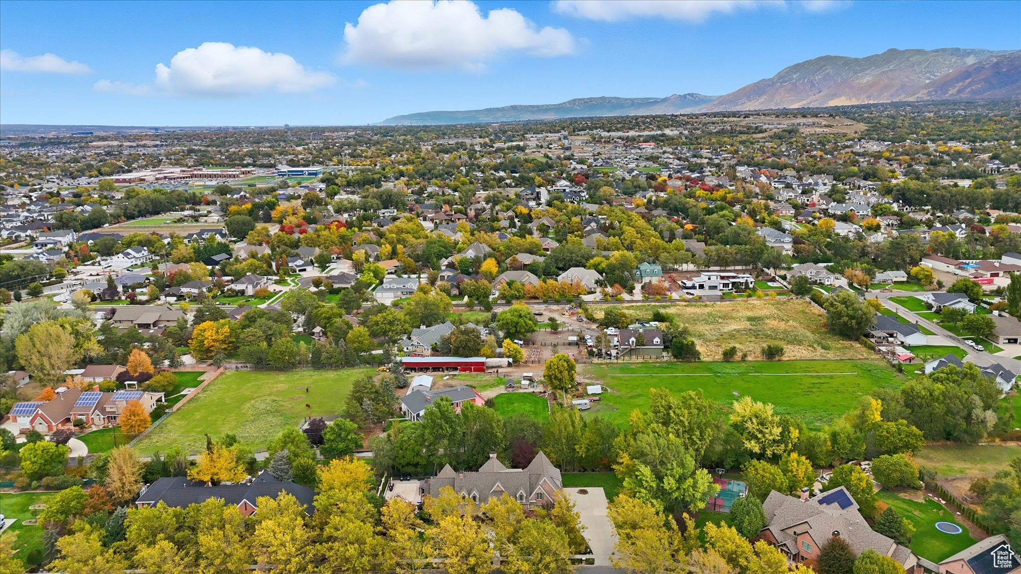 WILD ROSE - Residential