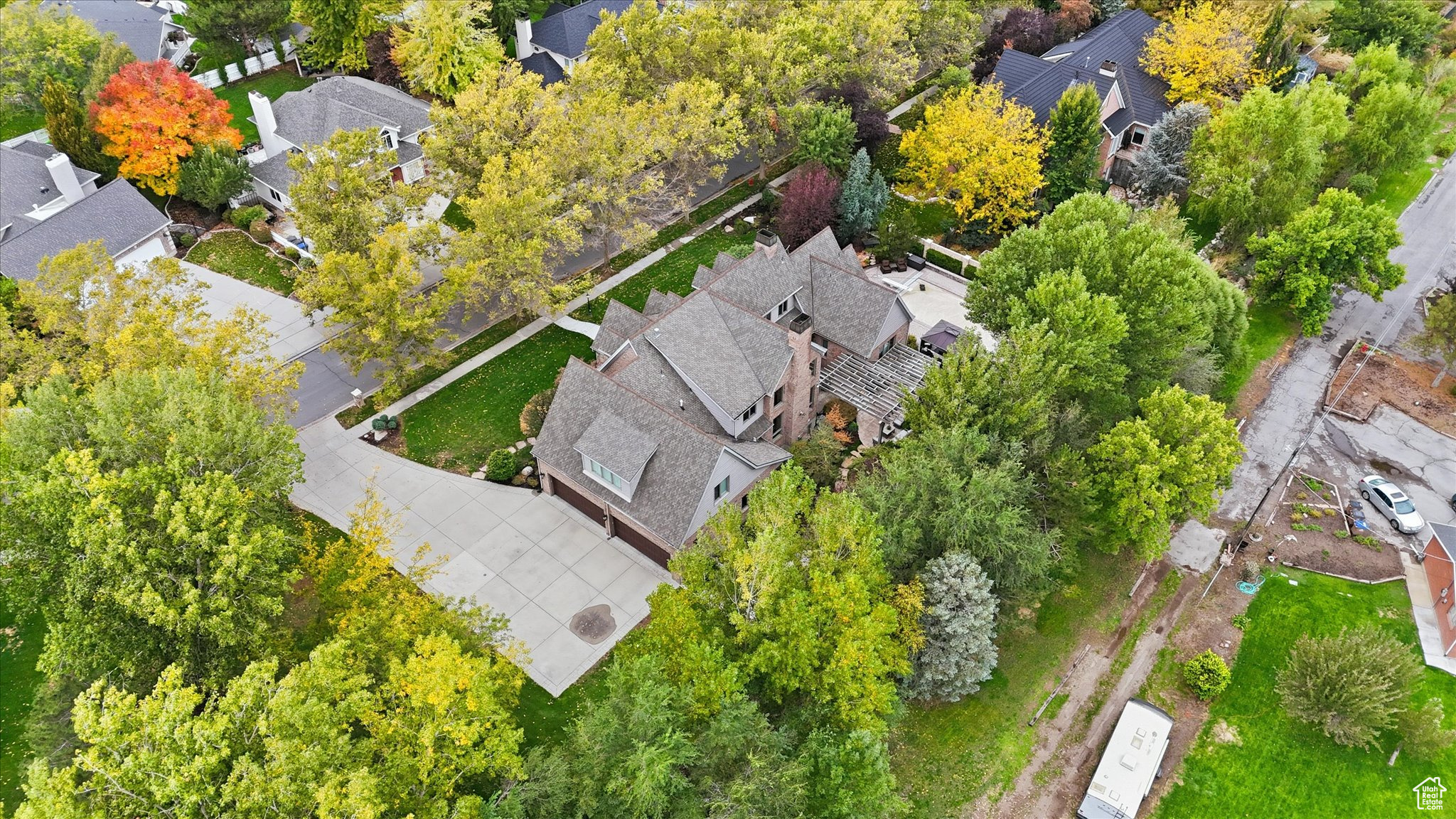 WILD ROSE - Residential