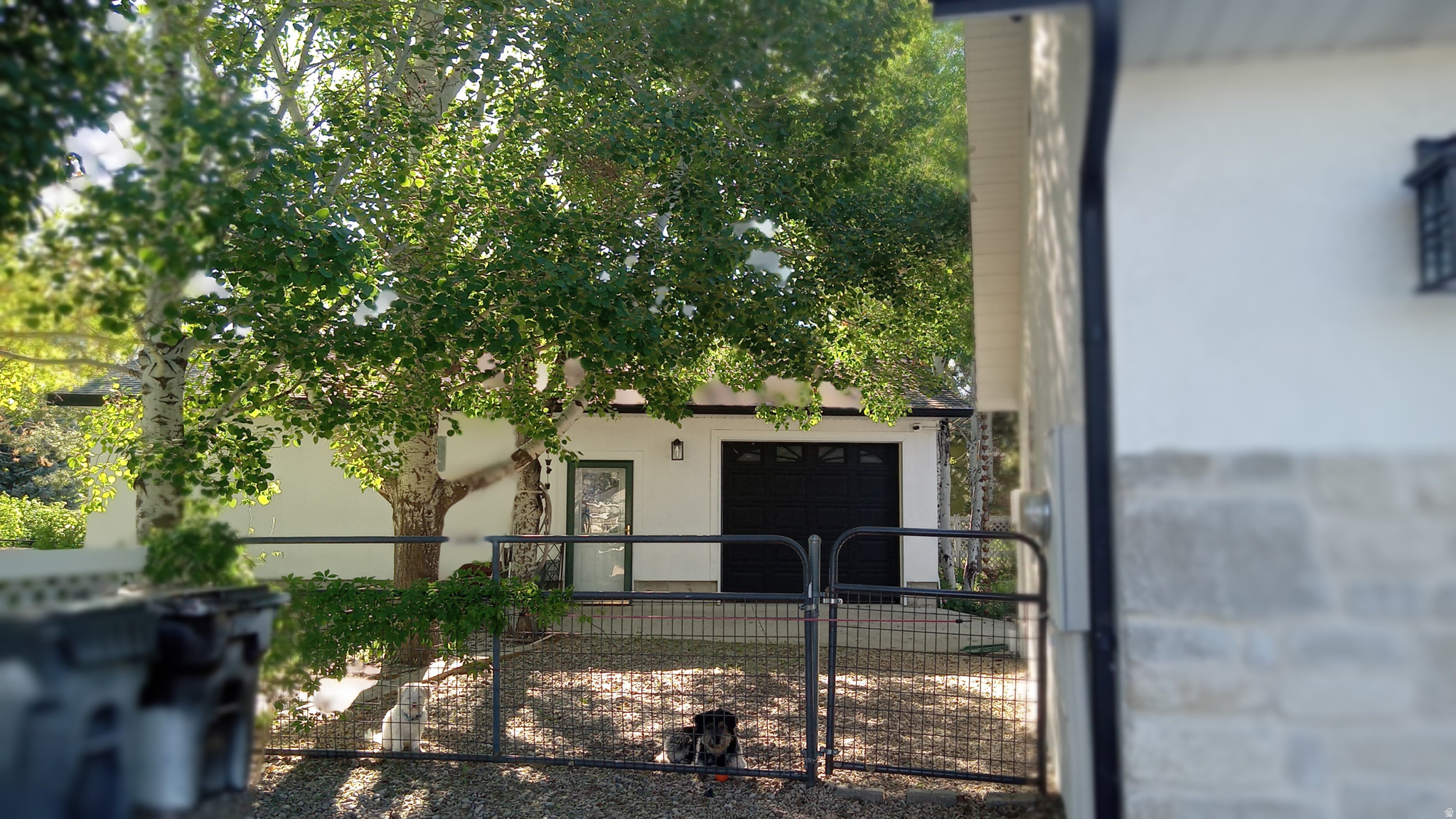 WILD WILLOW AMENDED PLANNEDDEVELOPMENT - Residential