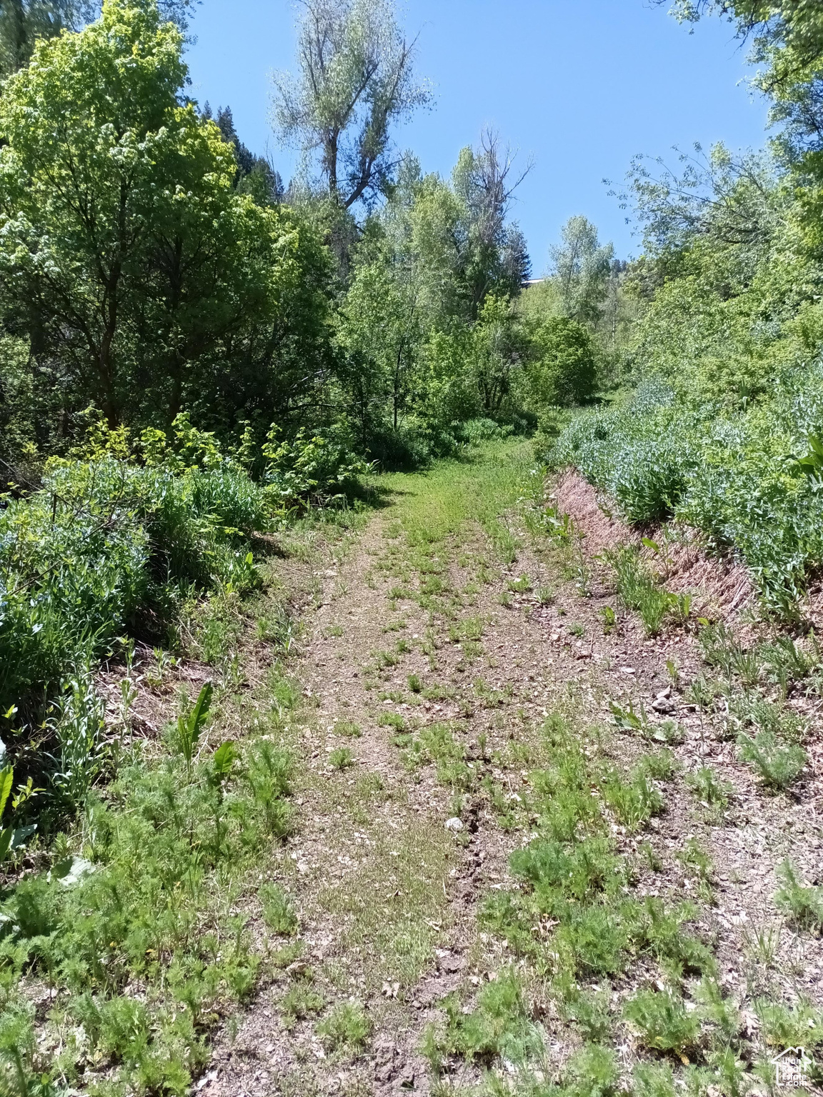 3732 E 1950 #57, Eden, Utah image 3