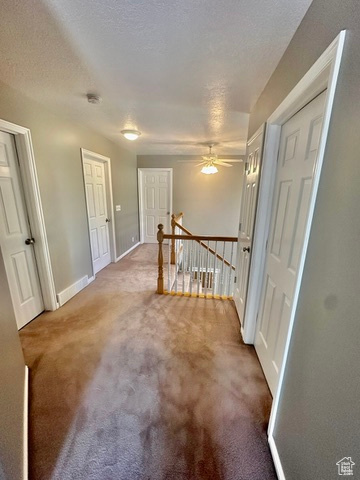 MURRAY BURTON ACRES - Residential